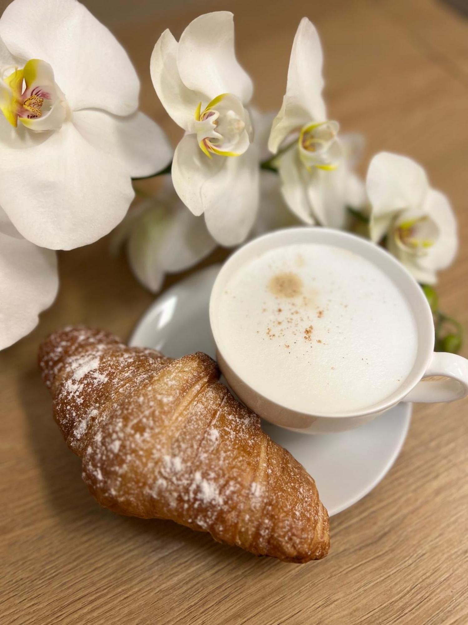 Hotel Kozak 브르노 외부 사진