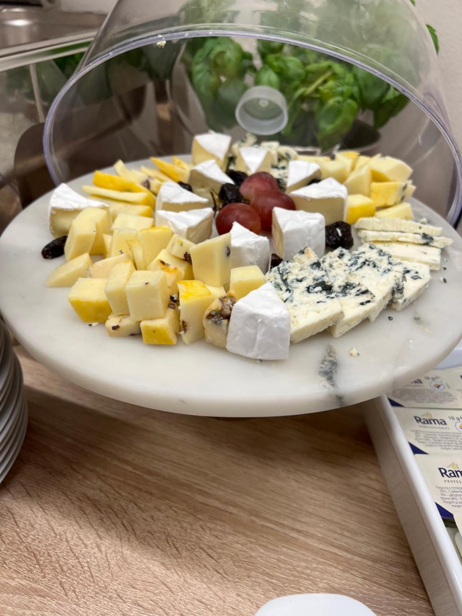 Hotel Kozak 브르노 외부 사진